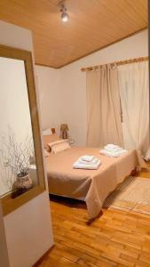 a bedroom with a bed and a mirror at All seasons Mountain escape in Vília
