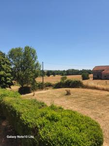 a field with a tree and a telephone pole at Montgrailloux - Chambilly in Chambilly