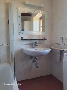 a bathroom with a sink and a mirror and a tub at Montgrailloux - Chambilly in Chambilly +11 photos
