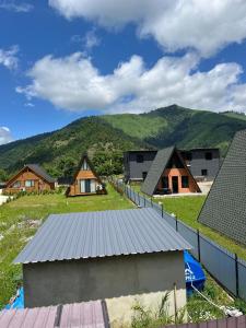 a group of houses with mountains in the background at Borjomi Tskhaoba in Borjomi
