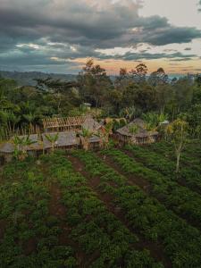 an aerial view of a farm with crops at Asaro Mudman Cultural Lodge in Goroka