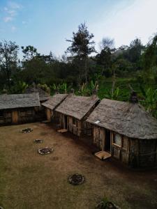 a group of old houses with thatched roofs at Asaro Mudman Cultural Lodge in Goroka