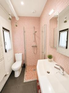 a bathroom with a toilet and a shower and a sink at Gîte Lorelei Obernai Centre Ville 2 à 4 personnes in Obernai +7 photos