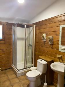 a bathroom with a toilet and a shower and a sink at Casa Rural Santa Mariña in Portomarin