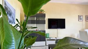 a living room with a tv and a plant at Casa Ada in Termoli