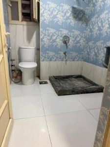 a bathroom with a toilet and blue and white wallpaper at See side view city square 42 in Alexandria