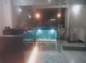 a room with a large aquarium in a room at aadi shakti palace in Faizābād