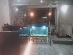 a large aquarium in a room with a staircase at aadi shakti palace in Faizābād