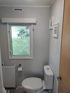 a bathroom with a white toilet and a window at Maggie's Garden Retreat in Millom +25 photos