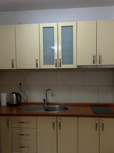 a kitchen with a sink and white cabinets at Apartman sa pogledom na more Budva in Budva
