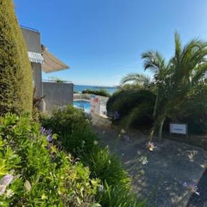 a yard with palm trees and a swimming pool at Studio piscine et vue mer in Trévou-Tréguignec