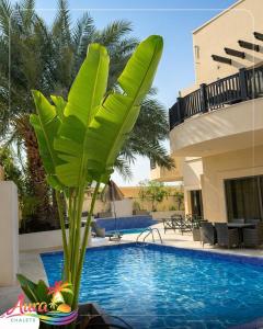 Piscina a Aura Chalets o a prop