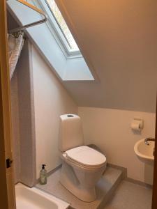 a bathroom with a toilet and a skylight at Hellesbnb in Rømø +33 photos