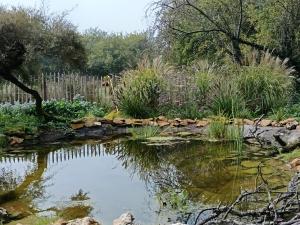a pond in the middle of a garden at Le CLOS SUZANNE in Vesaignes-sous-Lafauche +3 photos