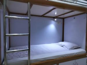 a bunk bed in a dorm room with a ladder at C N Comforts Hotel & Dormitory in Lucknow