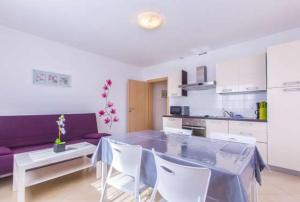 Kuchyň nebo kuchyňský kout v ubytování Apartments Dragica 927