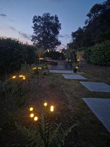 a garden at night with lights in the grass at La caravane de l'enchanteresse in Philippeville