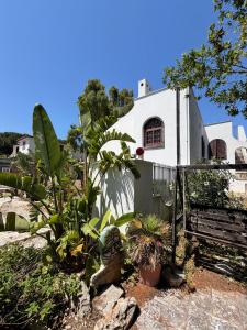 a house with a bench and plants in front of it at nonnacampagna in Bari