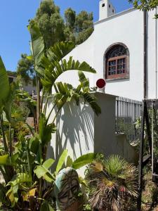 a house with a lot of plants in front of it at nonnacampagna in Bari +5 photos
