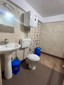 a bathroom with a toilet and a sink at Rare Himalayas Mansarovar in Darjeeling
