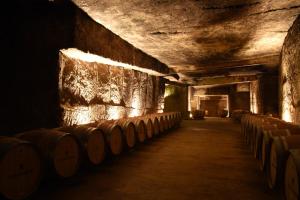 a room with rows of wine barrels in a cellar at CHATEAU DE LA RIVIERE in La Rivière