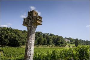 a cross on top of a tree in a field at CHATEAU DE LA RIVIERE in La Rivière +2 photos