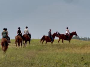 a group of people riding horses in a field at Bugaci Ménesbirtok Üdülőházak in Bugac