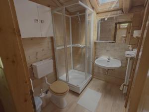a bathroom with a shower and a toilet and a sink at Rifugio Plan Boè in Livinallongo del Col di Lana +36 photos