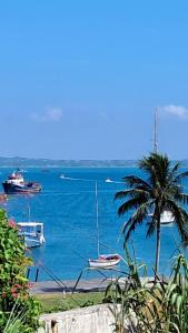a group of boats in the water with a palm tree at L&S casa da lagoa in Búzios