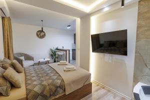 a bedroom with a bed and a tv on a wall at Aqua Studios with Spa & Free Parking in Jagodina
