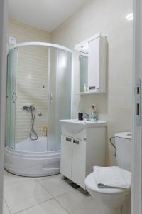 a bathroom with a shower and a toilet and a sink at Aqua Studios with Spa & Free Parking in Jagodina