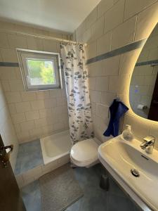 a bathroom with a sink and a toilet and a shower at Landhaus Heck in Pfronten +20 photos