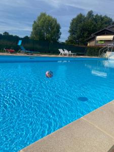 a ball in the water in a swimming pool at Lilac Cozy Retreat in Angera