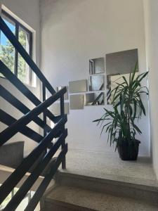 a staircase with a potted plant in a room at DAH BOROVA - BANJA TOPILO in Banja Topilo