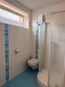 a bathroom with a toilet and a shower at Penzion VV SUN - REOS in Hodonín +22 photos