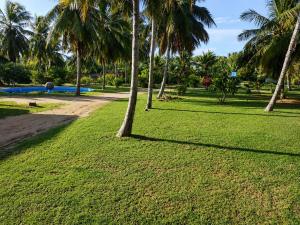 a park with palm trees and a swimming pool at Coconut Grove Beach Cabanas in Hungama +13 photos
