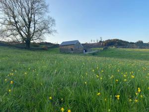 an old barn in a field of flowers at Barn Peaceful Stay with Far-Reaching Views in Eyam