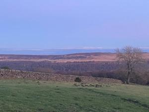 a field with a stone wall and green grass at Barn Peaceful Stay with Far-Reaching Views in Eyam +91 photos