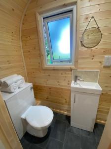 a bathroom with a toilet and a sink and a window at Kestrel Cabin Quiet Woodland Cabin & Nature in Eyam