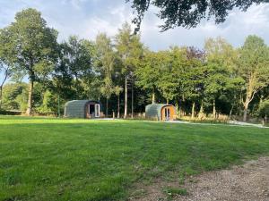 two domes in a field with trees in the background at Kestrel Cabin Quiet Woodland Cabin & Nature in Eyam