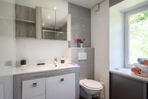 a bathroom with a toilet and a sink and a window at Gite Les Jonquilles in Mittlach +23 photos