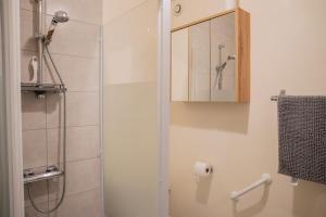 a shower with a glass door and a mirror at Clos Sainte Anne avec piscine in Cour-Cheverny +20 photos