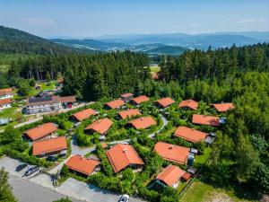 an aerial view of a group of houses at Chalet 4 in Sankt Englmar