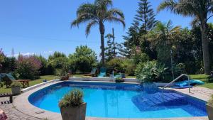 a swimming pool in a yard with palm trees at Appartement Ingwer, Floramar in Candelária