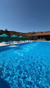 a large blue swimming pool with chairs and umbrellas at Palmira Hotel in Yelizavetovka
