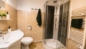 a bathroom with a shower and a toilet and a sink at Studio centre-ville avec ascenseur - Le Mistral in Digne-les-Bains