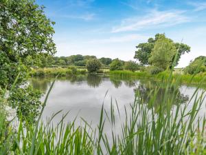 a view of a lake with trees and grass at Lodge - Uk49989 in Blandford Forum