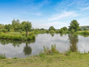a large river with trees and grass on the side at Lodge - Uk49989 in Blandford Forum