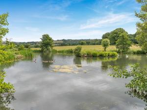 a river with ducks swimming in the water at Lodge - Uk49989 in Blandford Forum +30 photos
