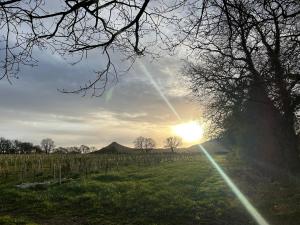 a sunset in a field with trees and a hill at Stables - Uk51829 in Great Ayton
